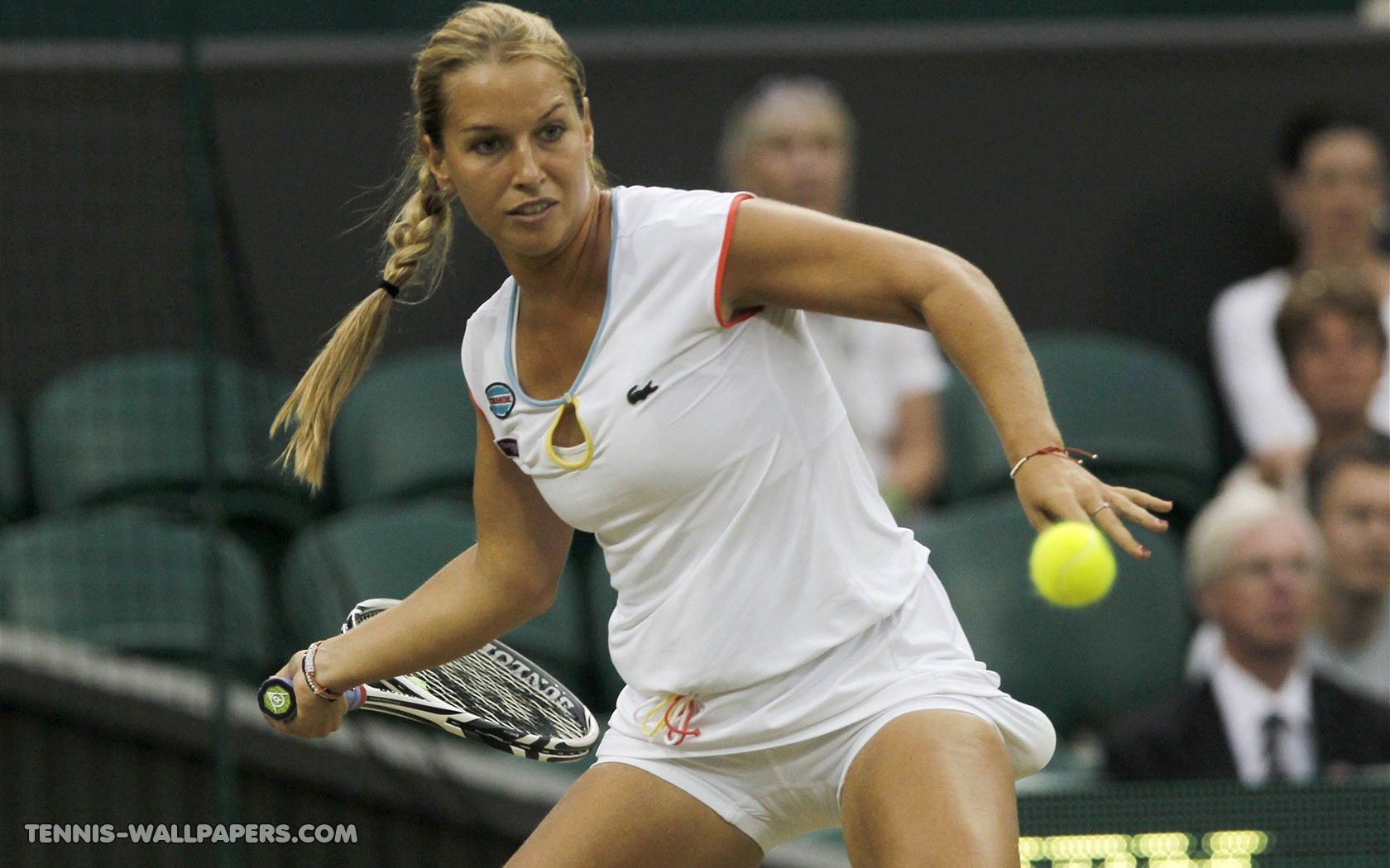 Dominika Cibulkova Pictures